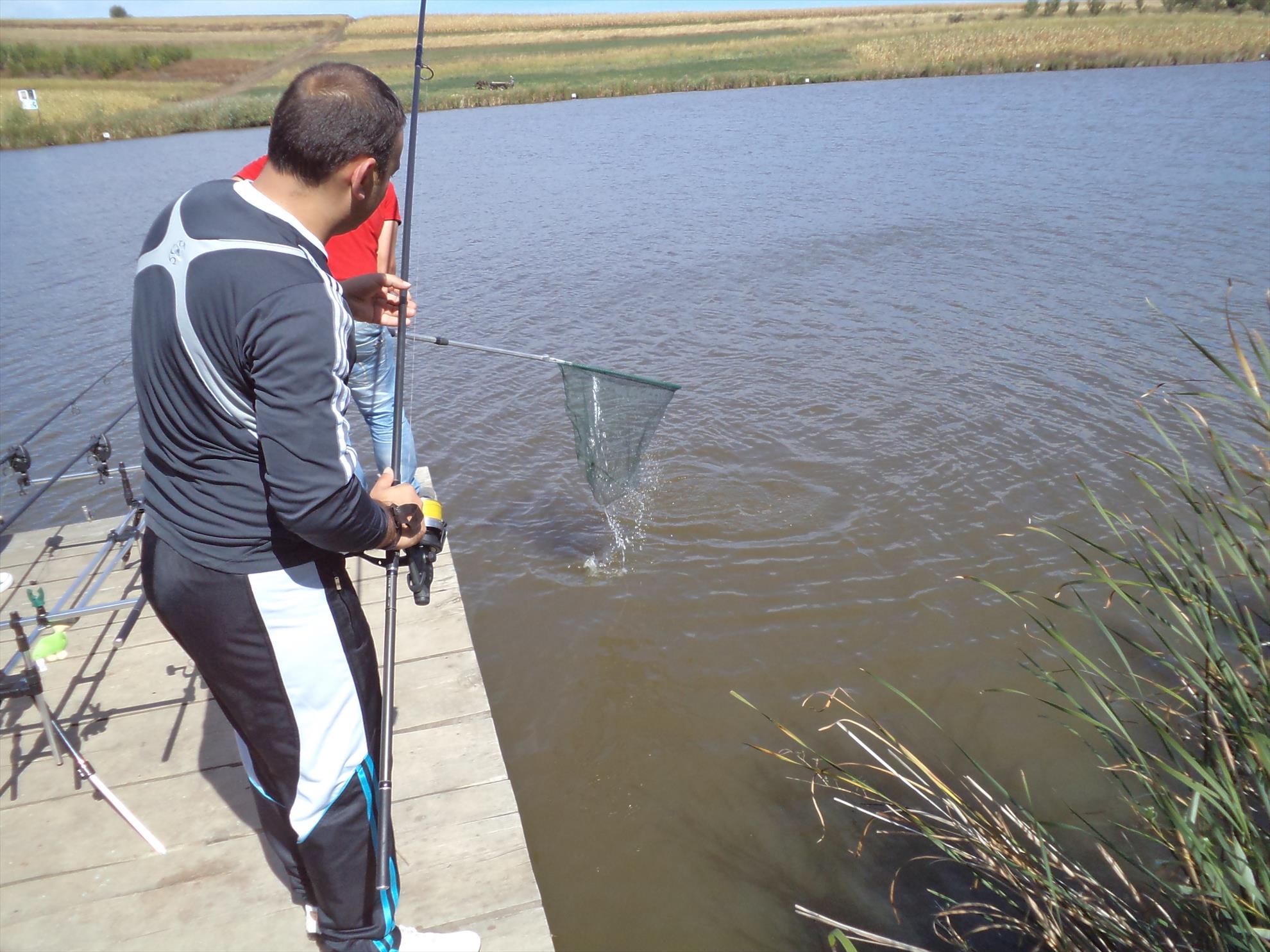 Testarea noilor bete - dsc01588.JPG